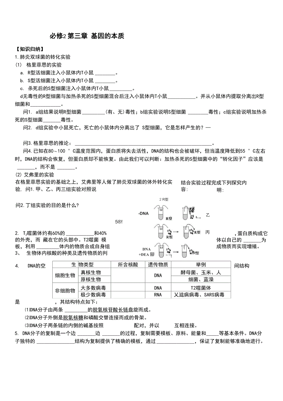 基因的本质_第1页