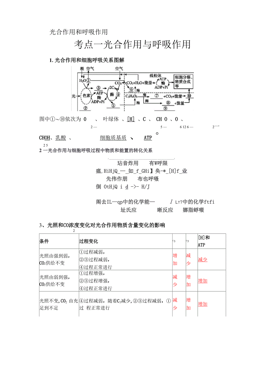 光合作用知识点_第1页