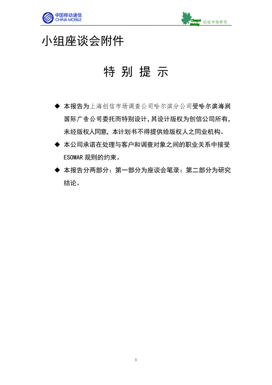 移动媒体项目座谈会附件_第2页