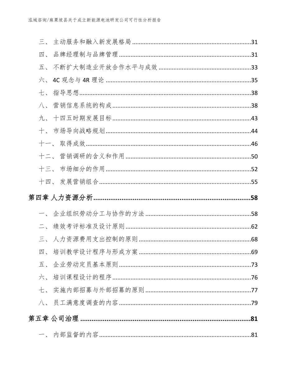 麻栗坡县关于成立新能源电池研发公司可行性分析报告（模板参考）_第3页