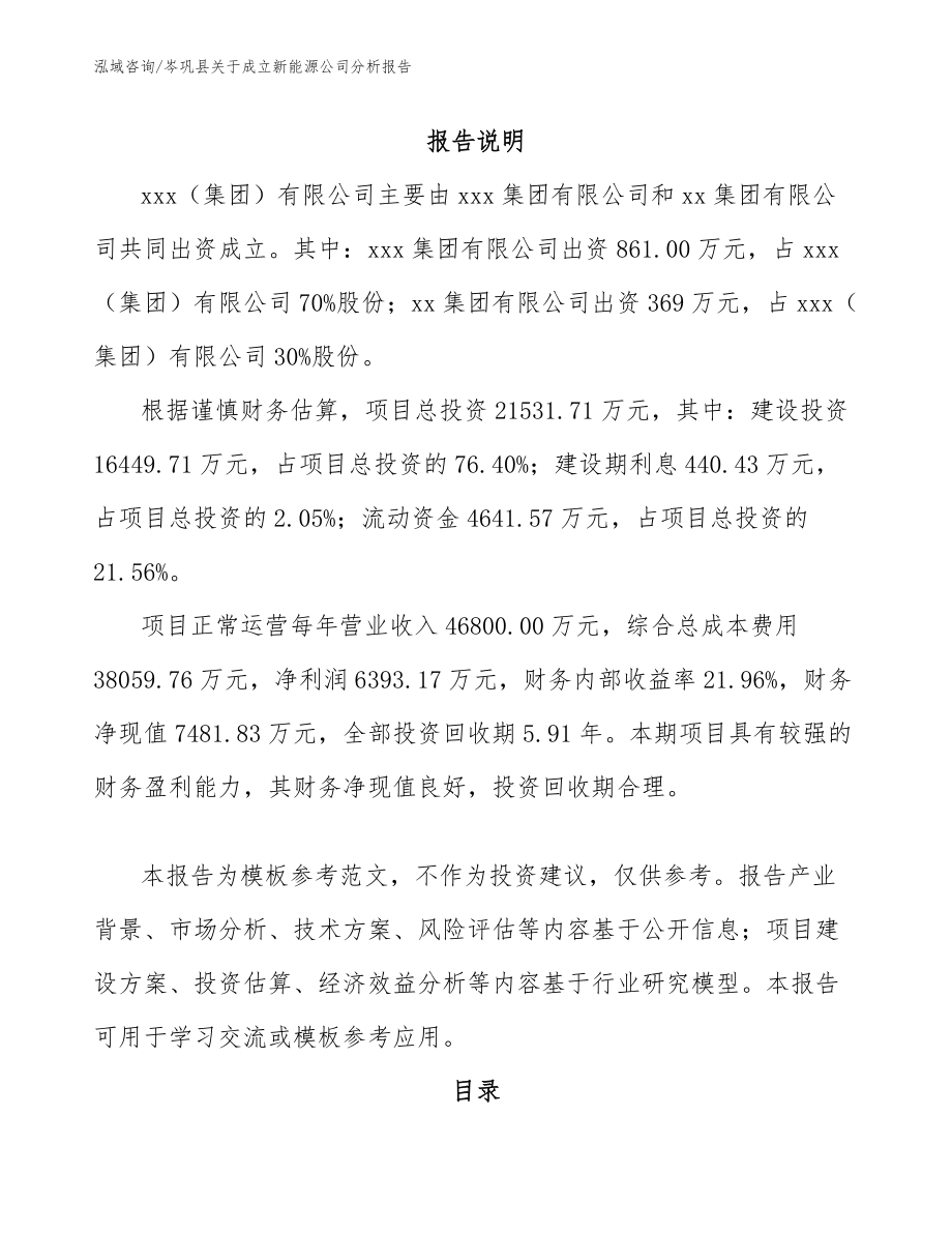 岑巩县关于成立新能源公司分析报告_第2页