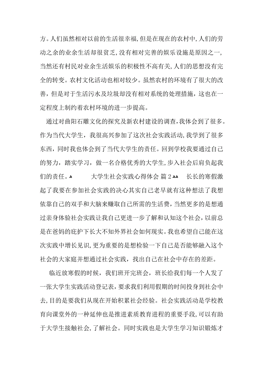 热门大学生社会实践心得体会模板集合八篇_第3页