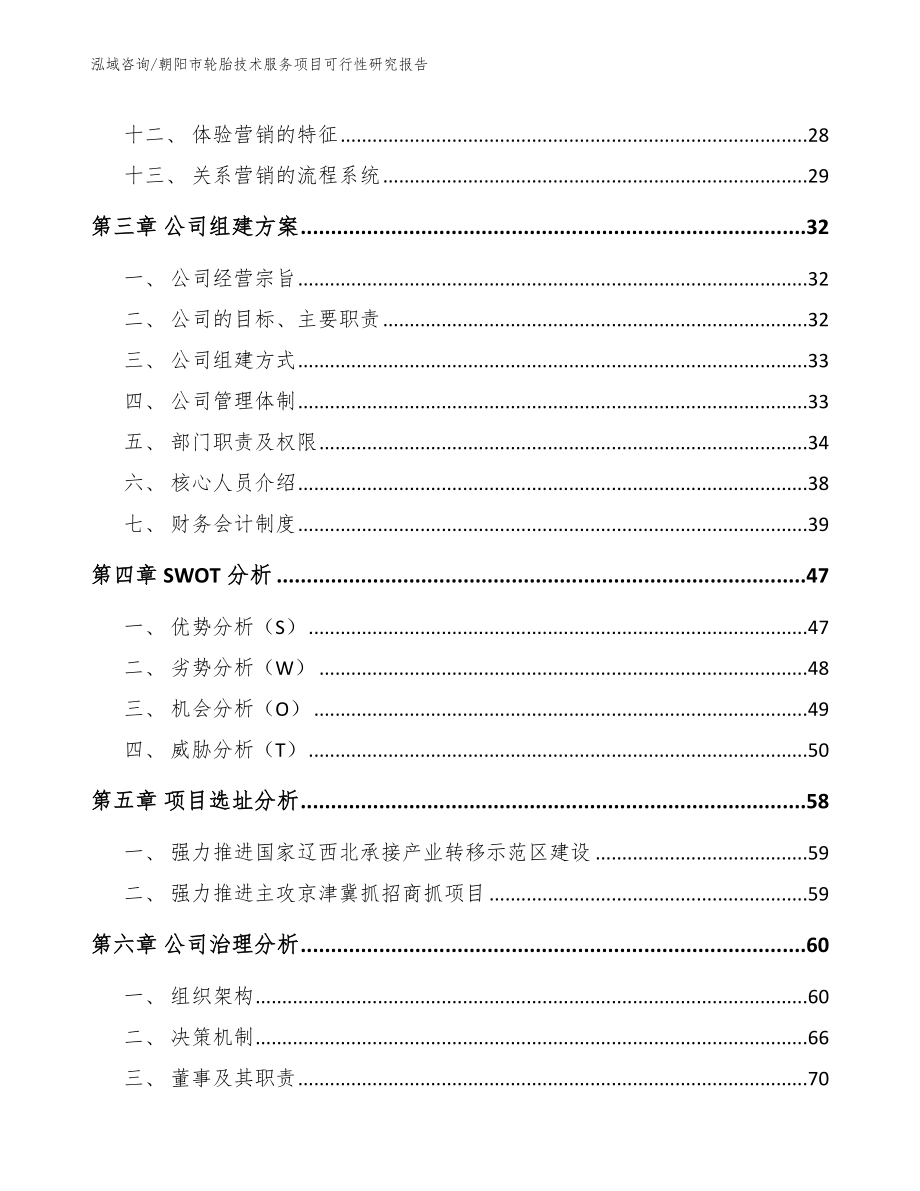 朝阳市轮胎技术服务项目可行性研究报告范文_第2页