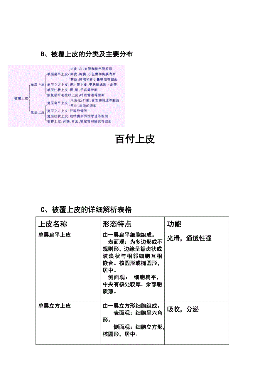 组织学与胚胎学重点_第4页