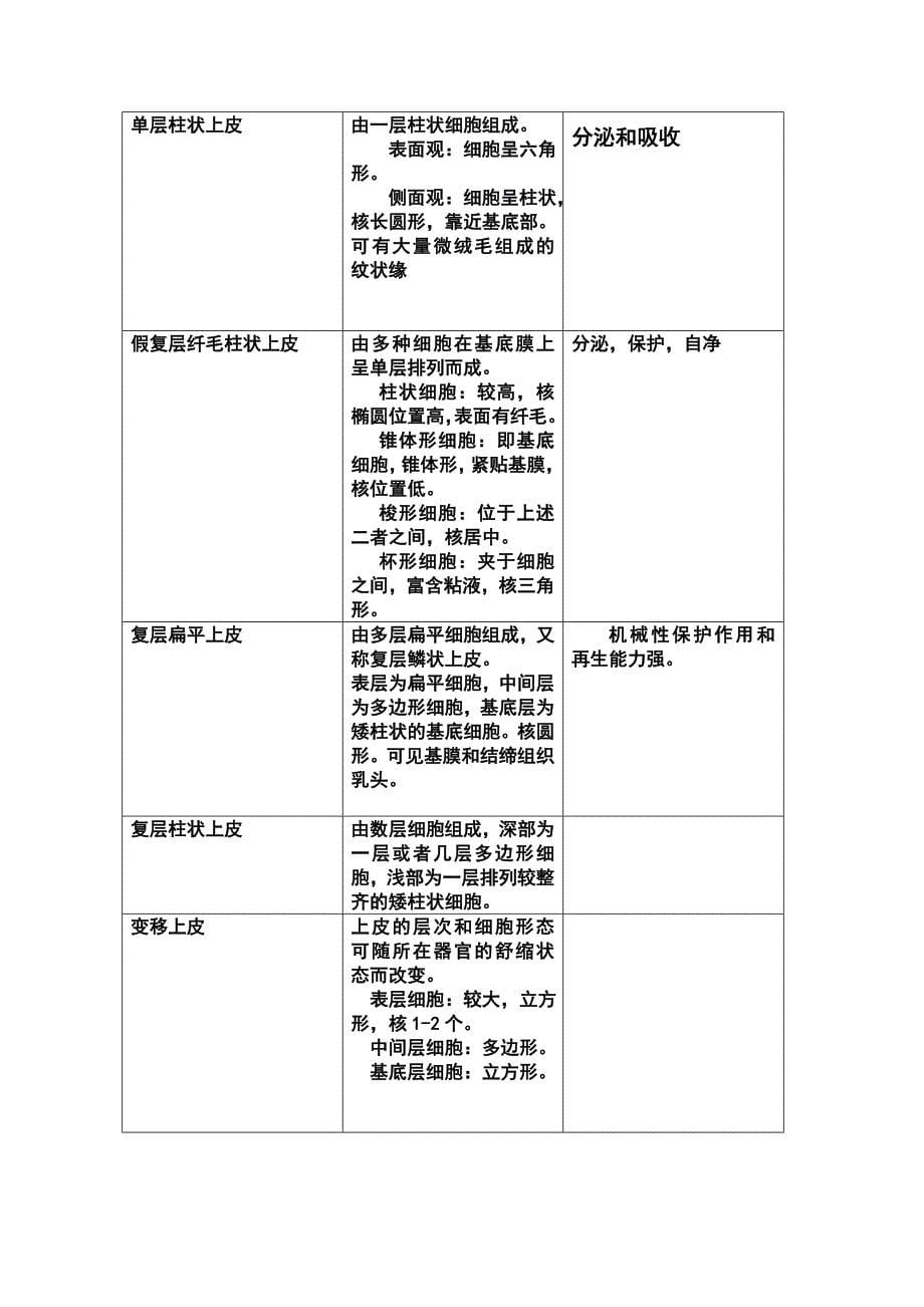 组织学与胚胎学重点_第5页