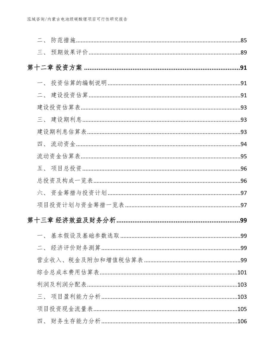内蒙古电池级碳酸锂项目可行性研究报告【参考范文】_第5页