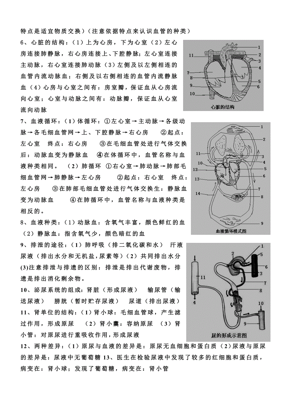 教育专题：生物学七年级下册复习背资料_第2页