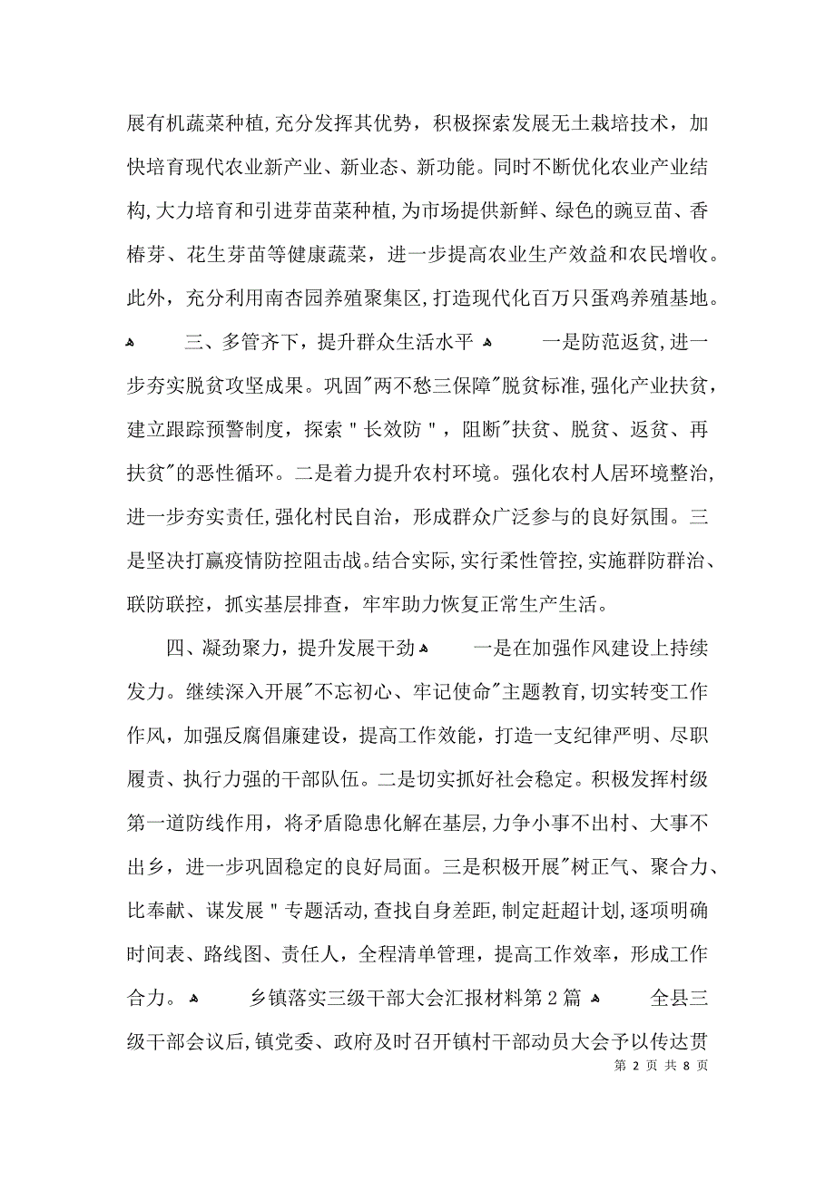 乡镇落实三级干部大会材料3篇_第2页