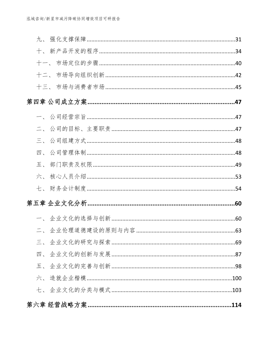 新星市减污降碳协同增效项目可研报告【范文模板】_第3页