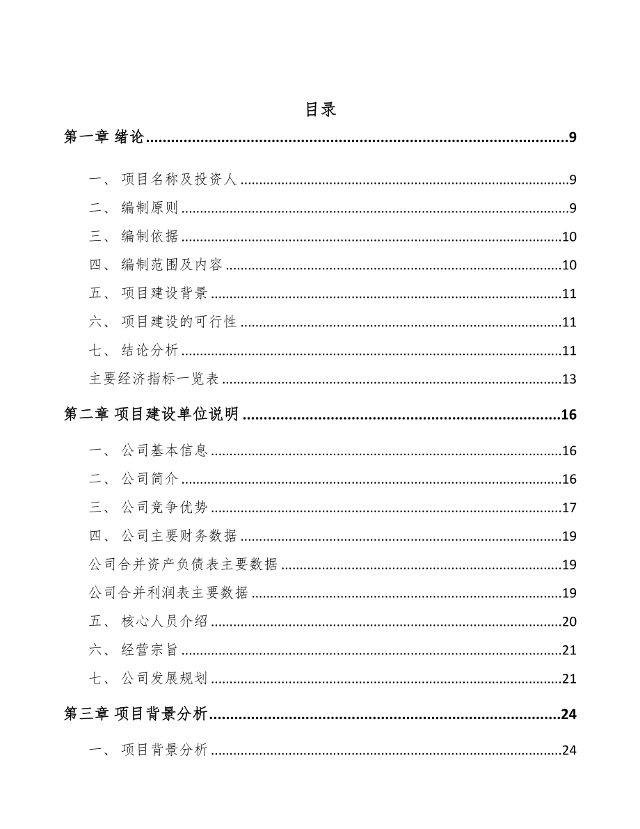 手拉葫芦项目可行性研究报告(DOC 81页)_第3页