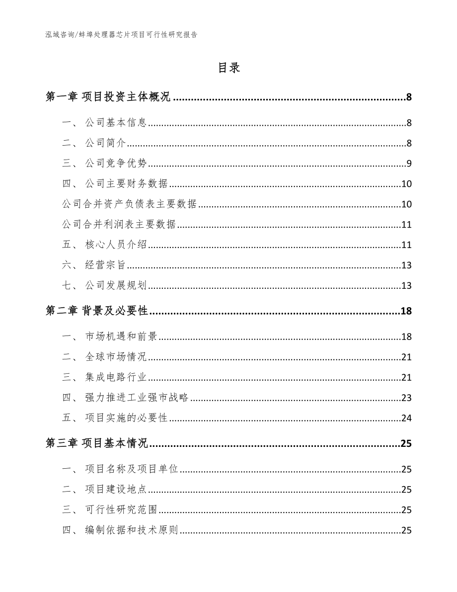 蚌埠处理器芯片项目可行性研究报告_参考模板_第2页