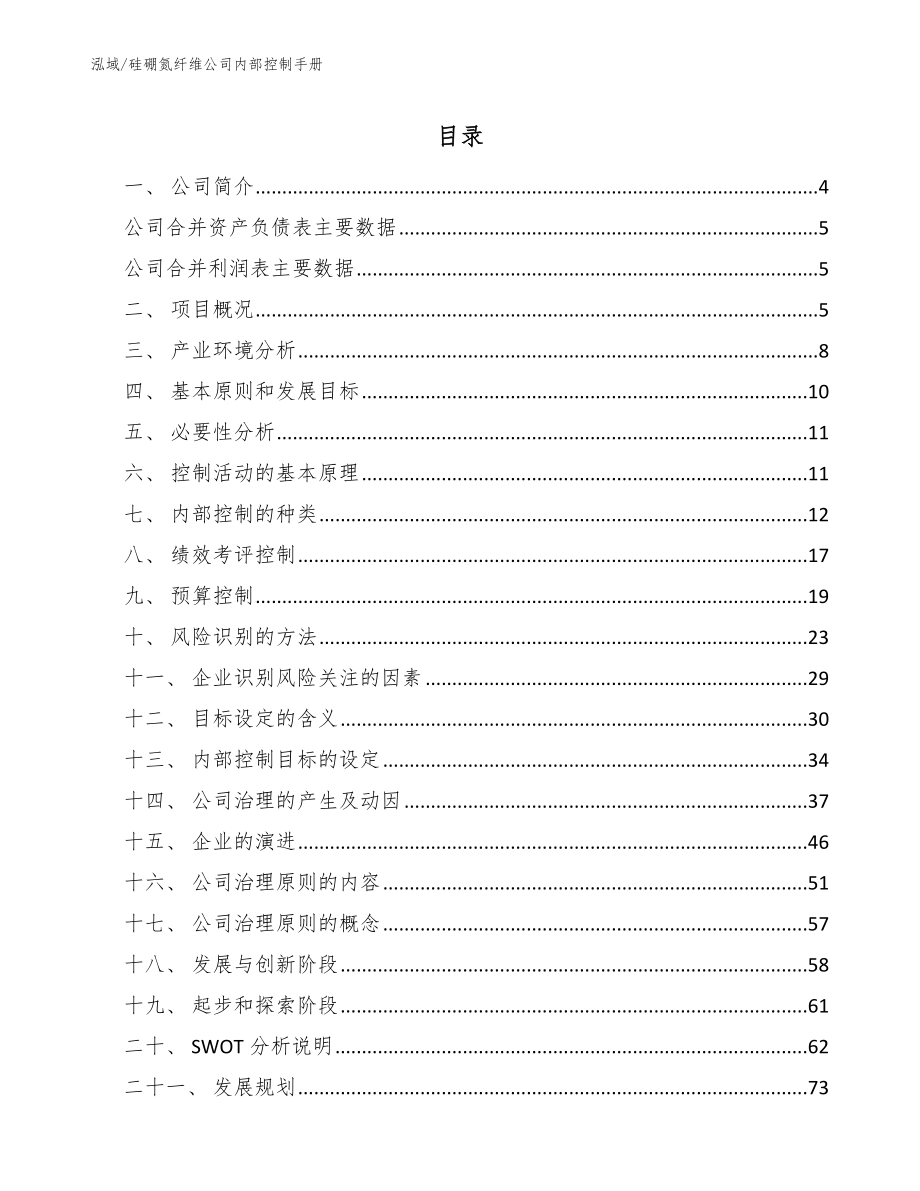 硅硼氮纤维公司内部控制手册（范文）_第2页