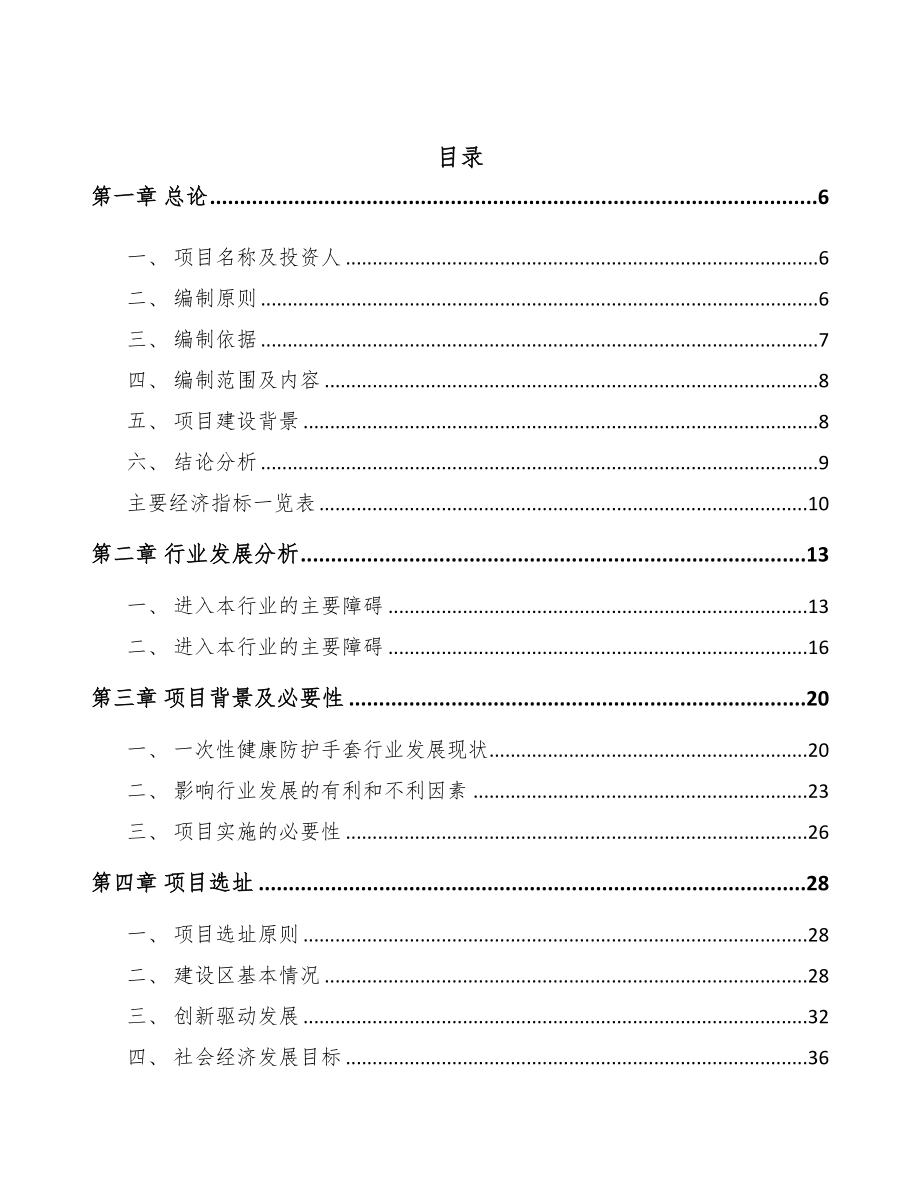 河南一次性医用手套项目可行性研究报告(DOC 56页)_第2页