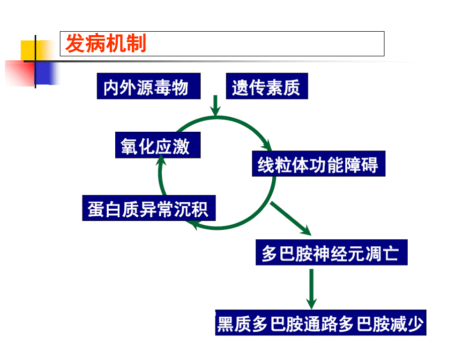 《帕金森病及其康复》PPT课件培训讲学_第4页