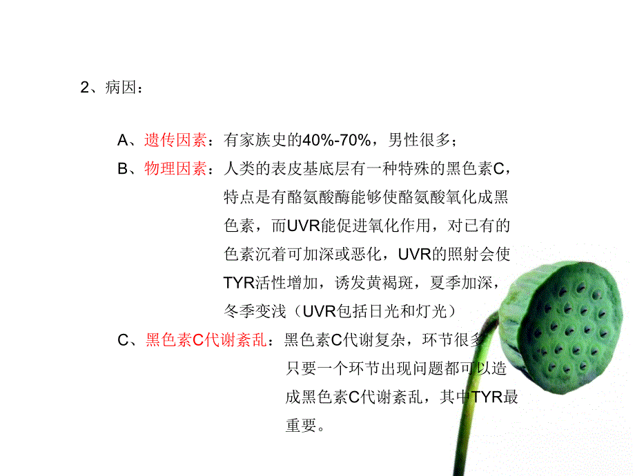 各类皮日常保养-PPT精品课件_第4页