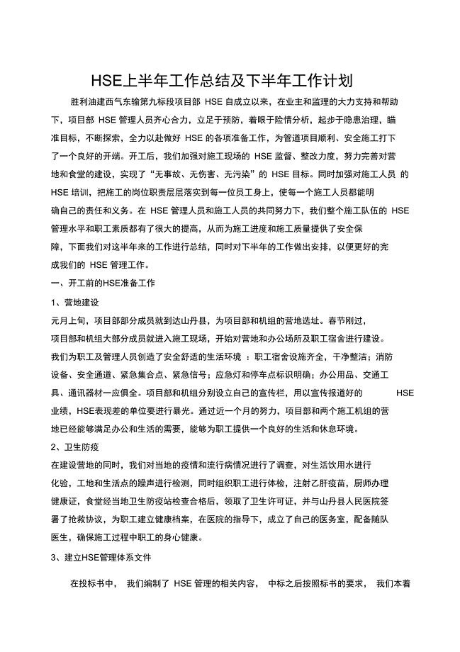 HsE上半年工作总结及下半年工作计划分析