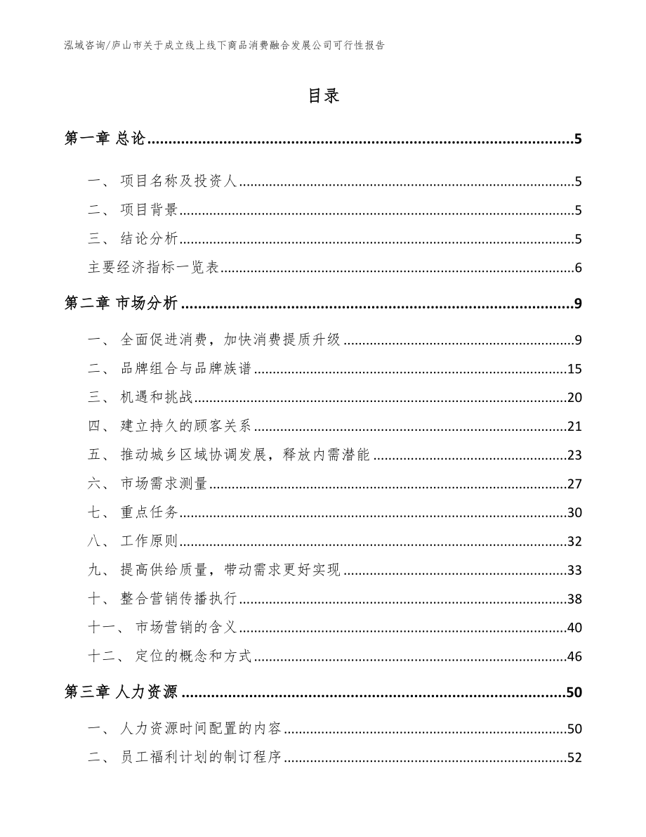 庐山市关于成立线上线下商品消费融合发展公司可行性报告模板参考_第1页