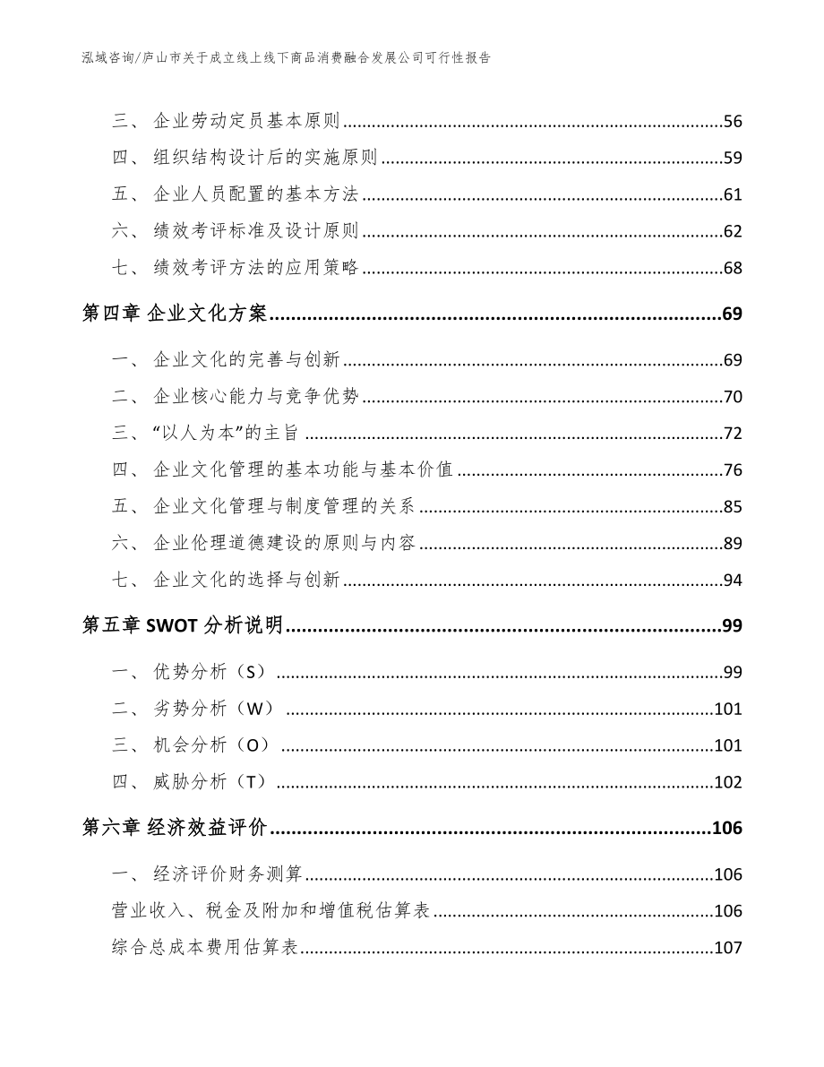 庐山市关于成立线上线下商品消费融合发展公司可行性报告模板参考_第2页