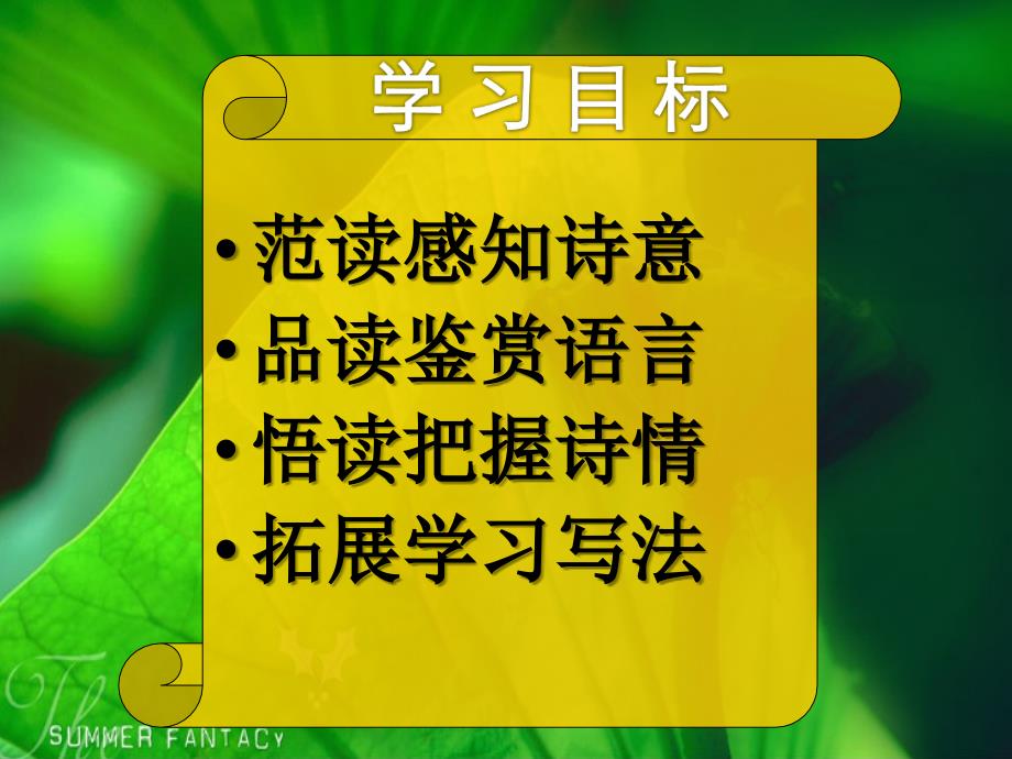 《荷叶母亲》课件_第2页