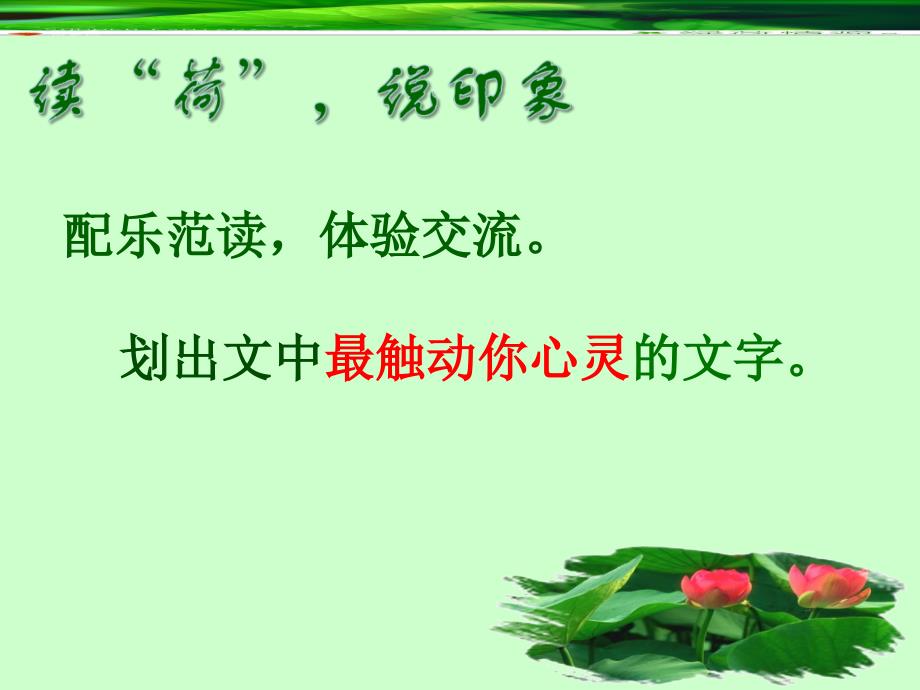 《荷叶母亲》课件_第4页