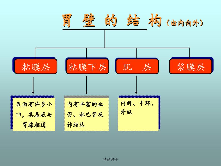 胃十二指肠溃疡急性穿孔课件_第4页