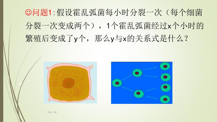 指数函数的概念课堂PPT_第4页