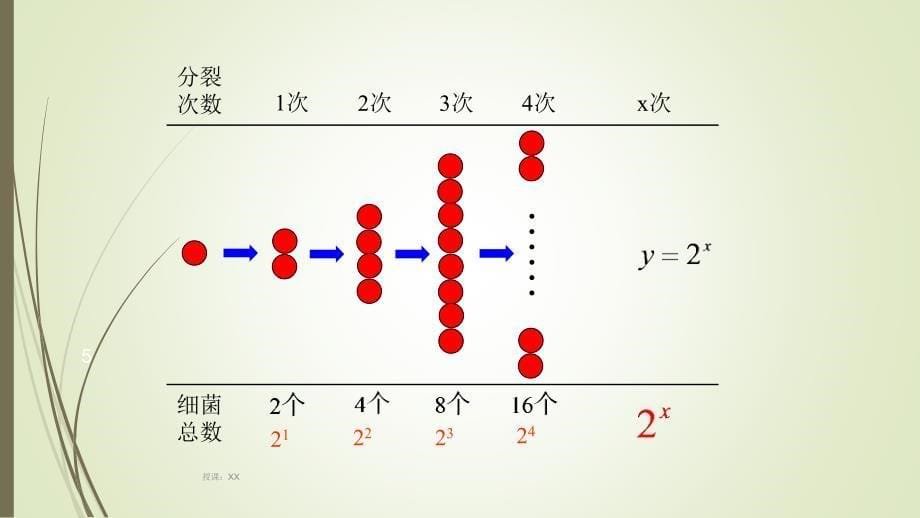 指数函数的概念课堂PPT_第5页