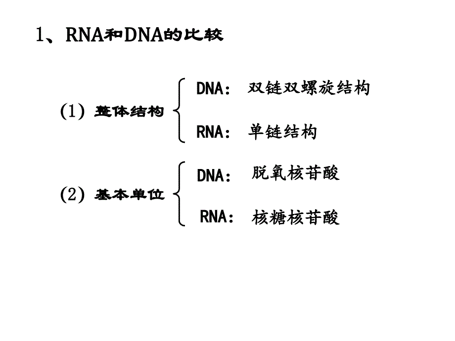 高三复习课-遗传信息的转录和翻译课件_第3页