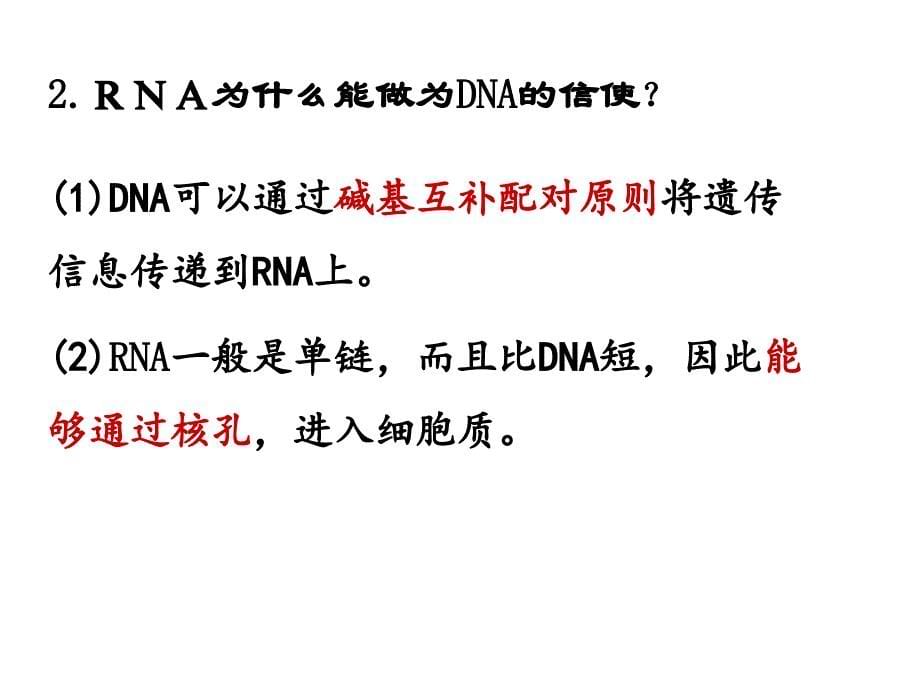 高三复习课-遗传信息的转录和翻译课件_第5页