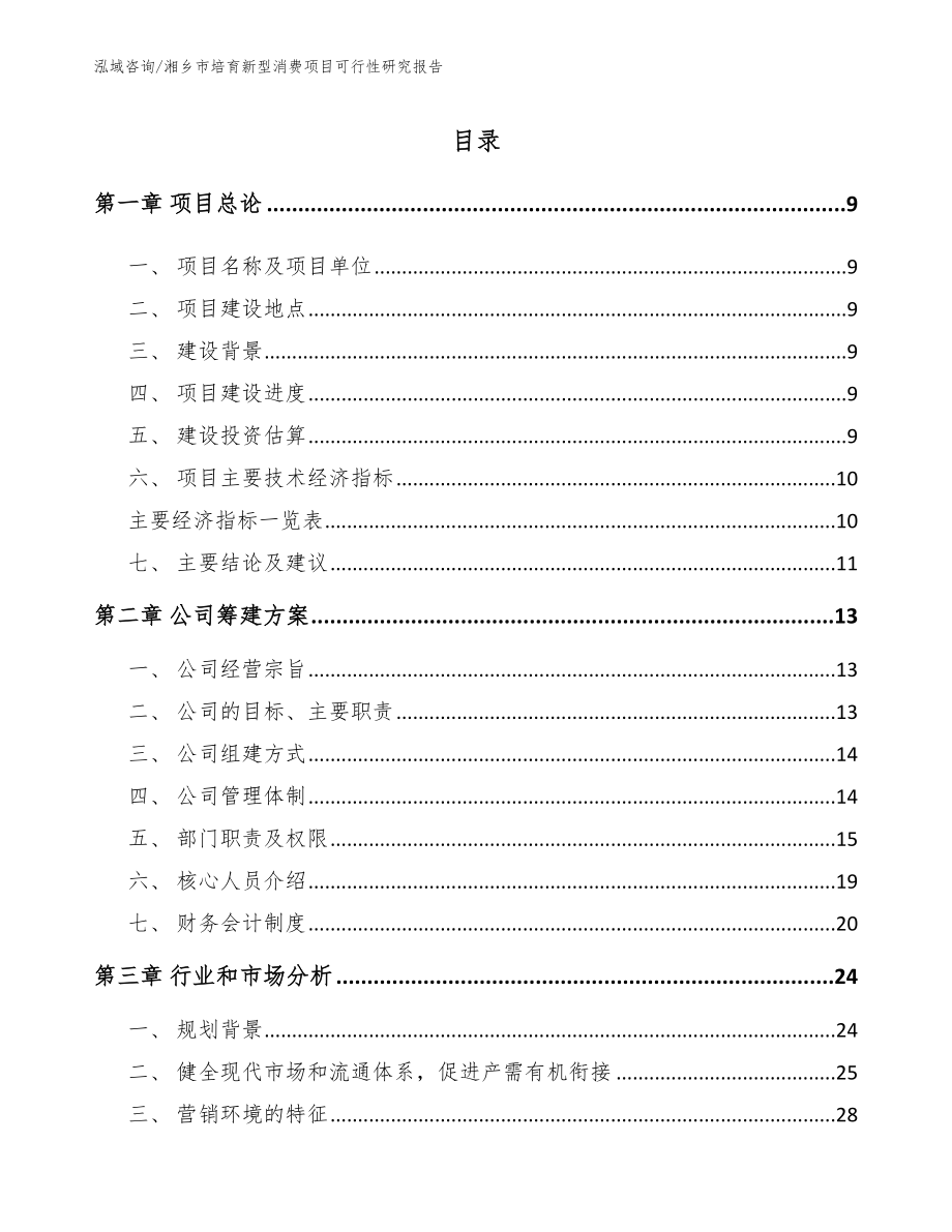 湘乡市培育新型消费项目可行性研究报告范文_第2页