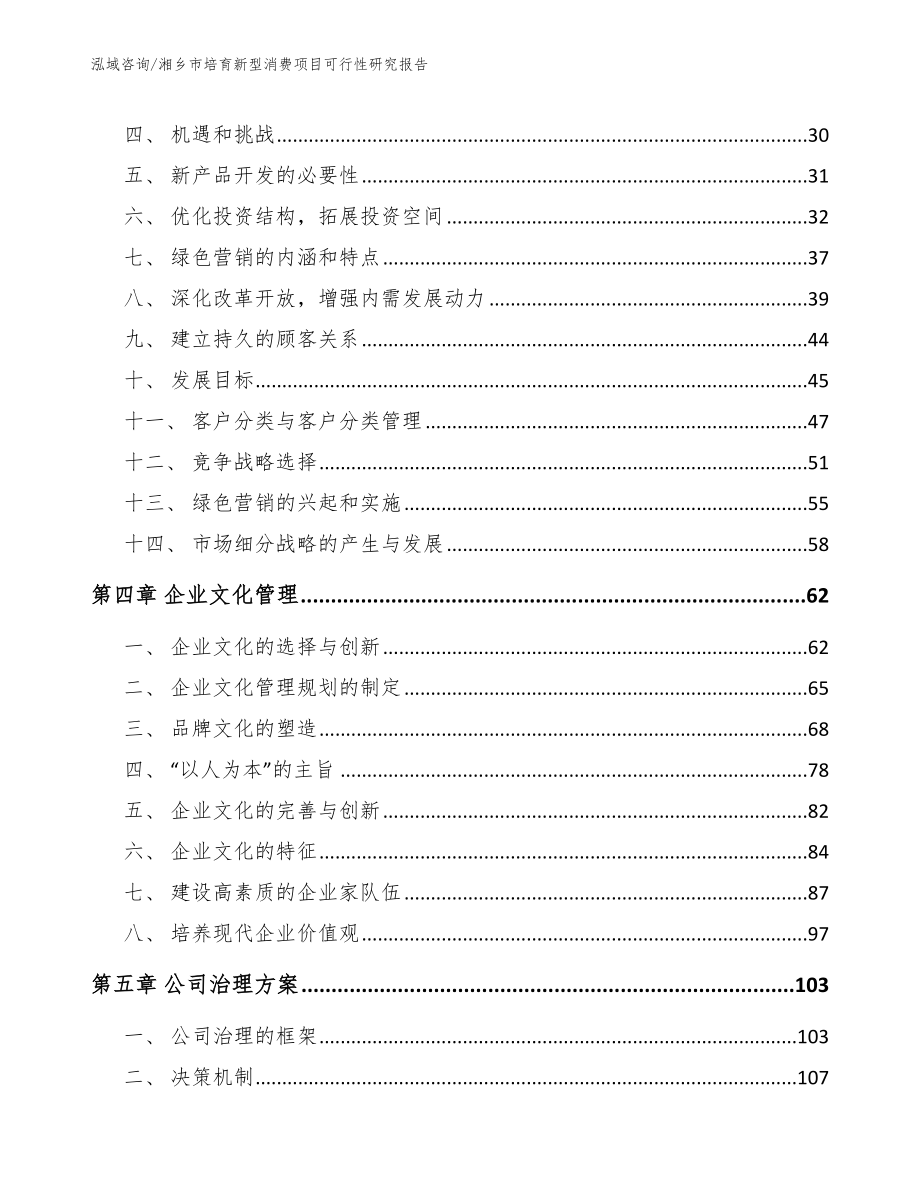 湘乡市培育新型消费项目可行性研究报告范文_第3页