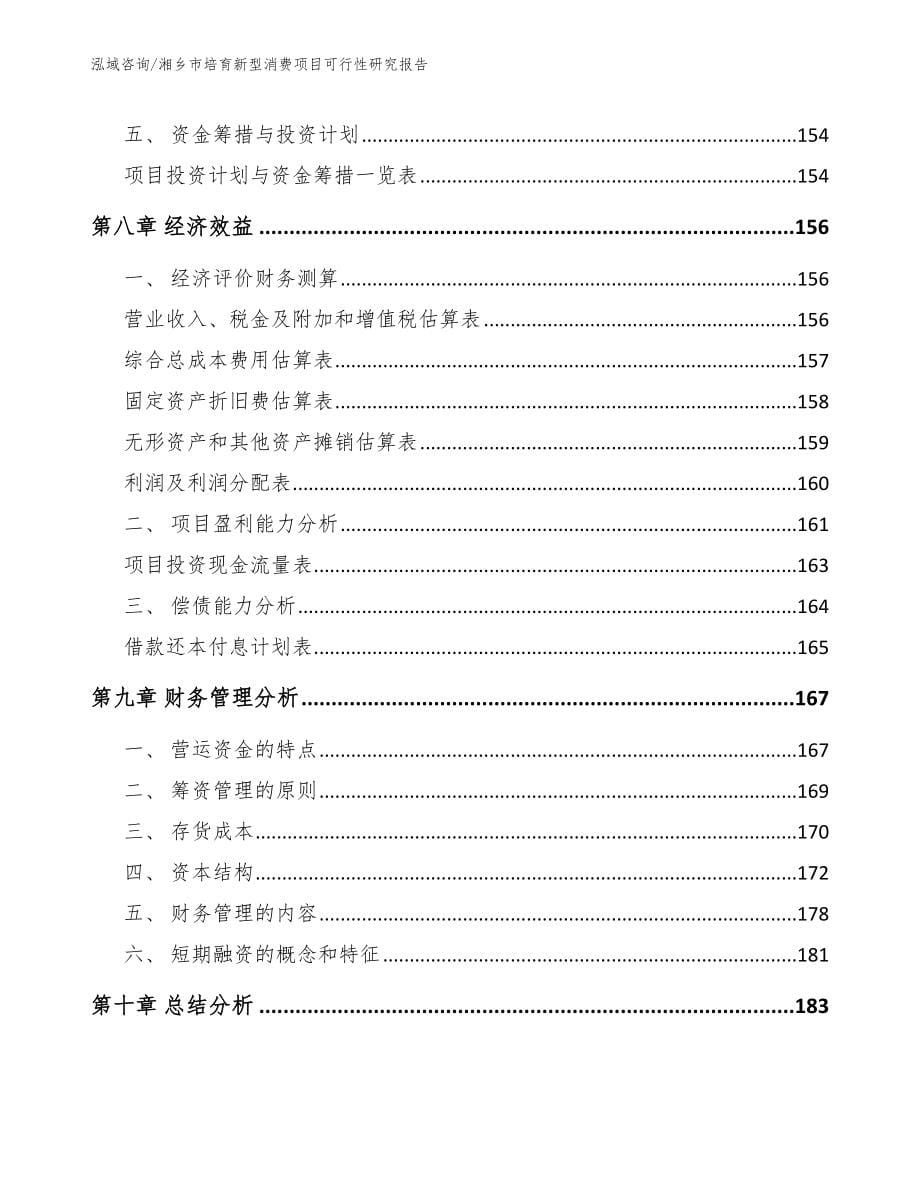 湘乡市培育新型消费项目可行性研究报告范文_第5页