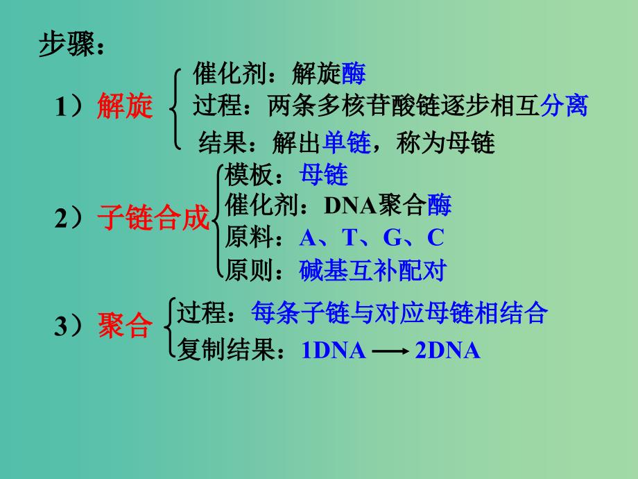 高中生物第二册第6章遗传住处的传递和表达6.2DNA复制和蛋白质合成课件1沪科版.ppt_第4页