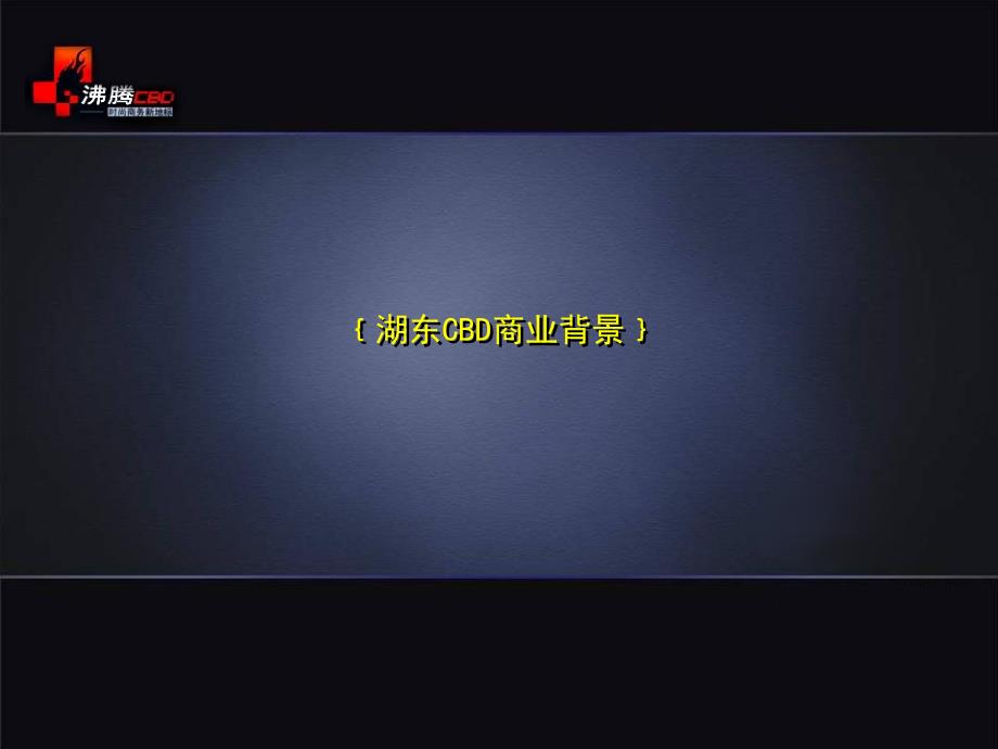 乐嘉大厦商铺策略推广沟通.ppt_第3页