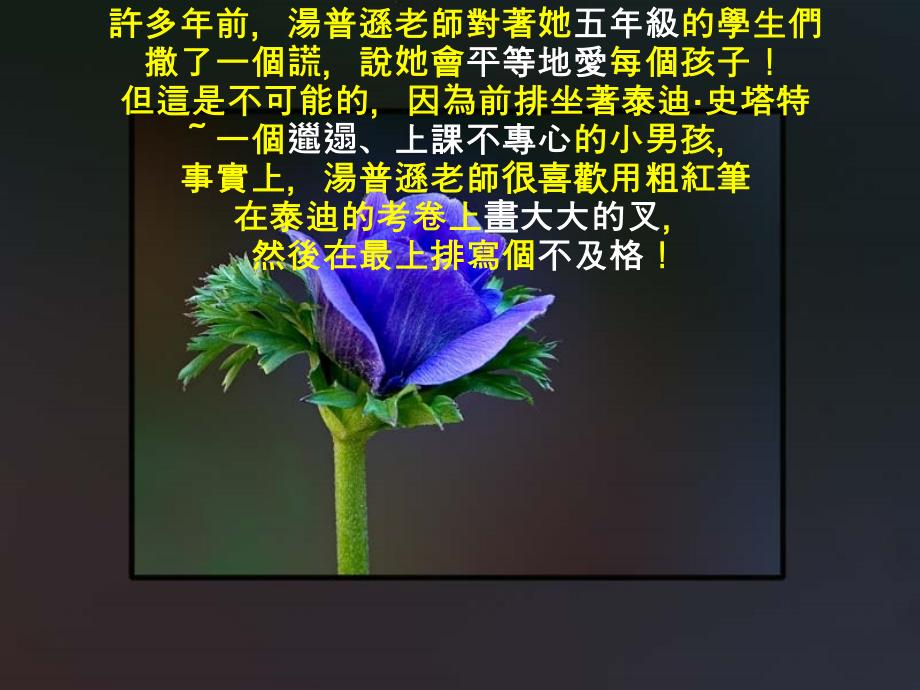 老师最好的礼物_第2页