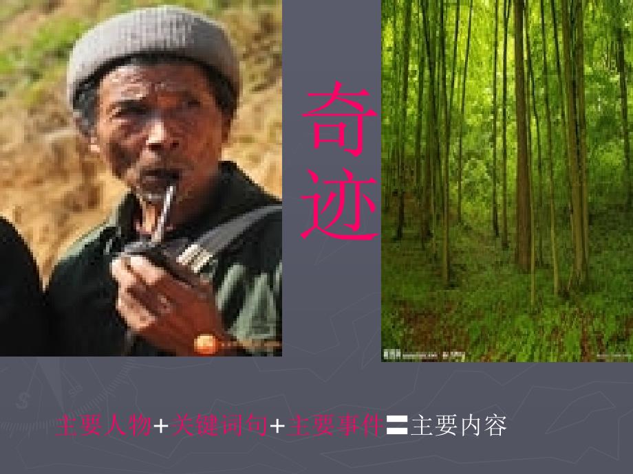 青山不老自己设计课件_第4页