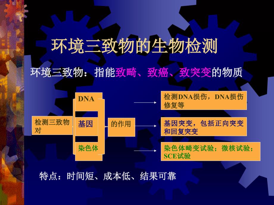 环境三致物的生物检测_第1页