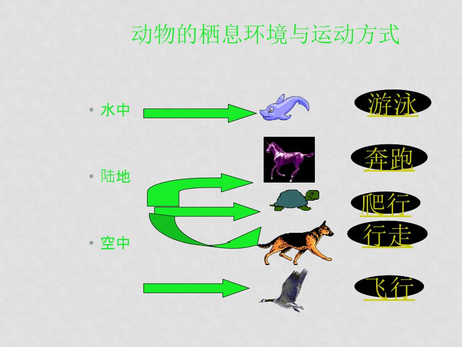 八年级生物上册册：第6单元第16章第一节动物运动方式的多样性课件 苏教版_第3页