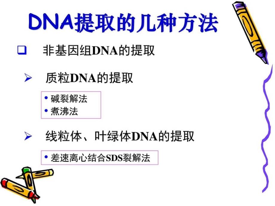 第四章基因操作的主要技术图文.ppt_第4页