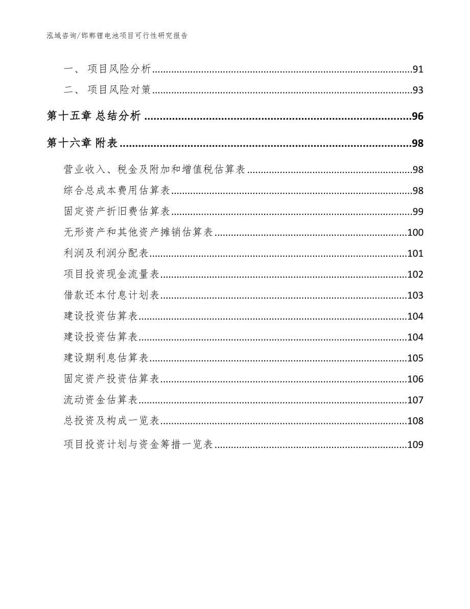 邯郸锂电池项目可行性研究报告_模板范本_第5页