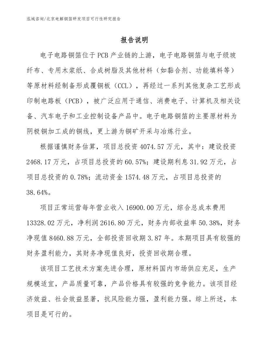 北京电解铜箔研发项目可行性研究报告模板范本_第1页