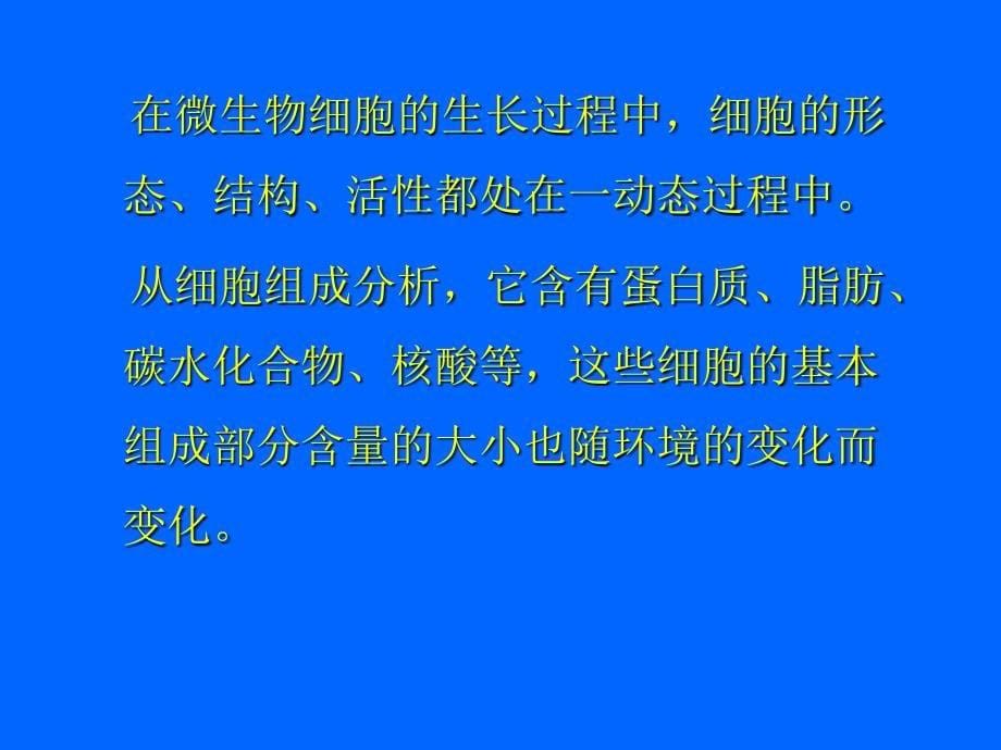 教学课件第五章微生物生长动力学_第5页