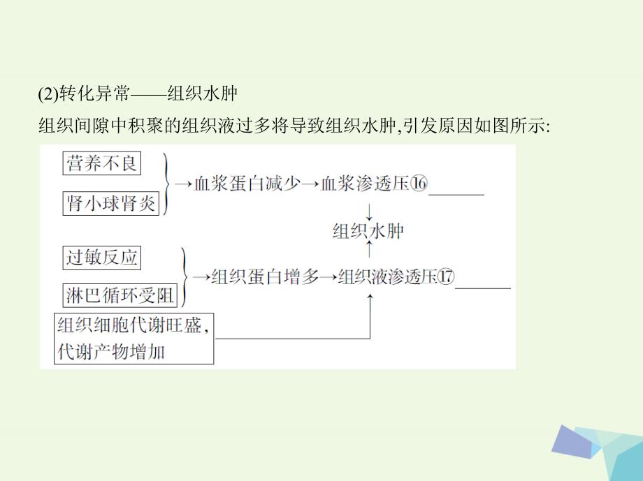 新课标高考生物一轮复习稳态与环境第8单元生命活动的调节第23讲人体的内环境与稳态课件必修3共41页_第5页