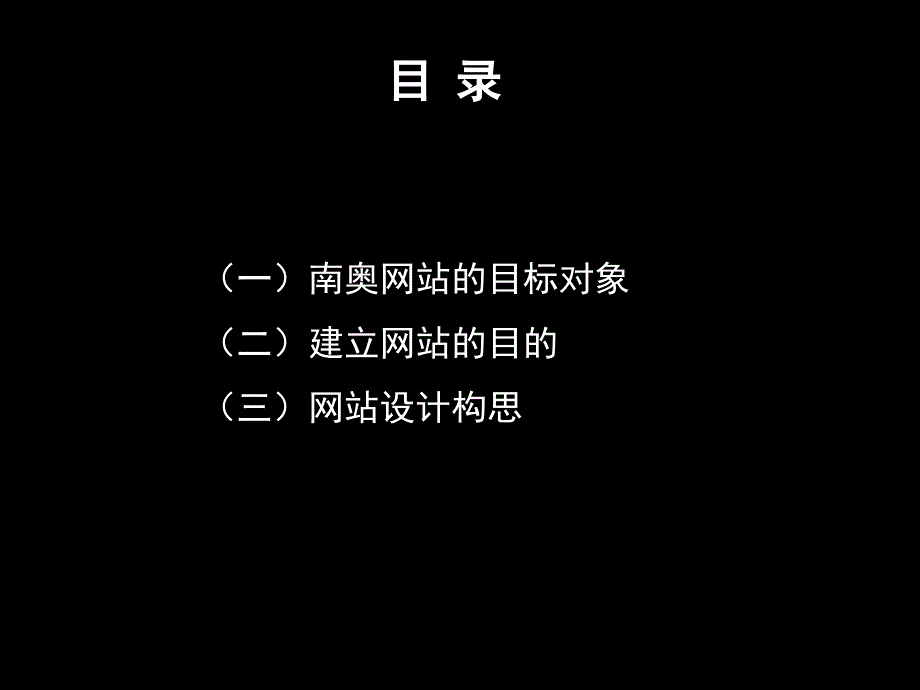 南奥网站策划_第2页