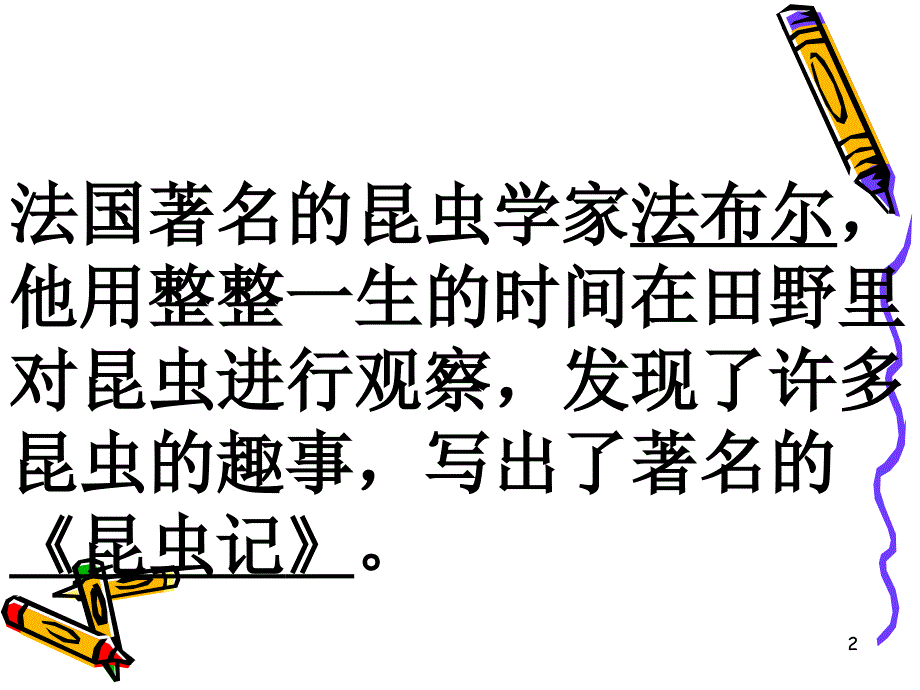 放大镜下的昆虫世界ppt课件.ppt_第2页