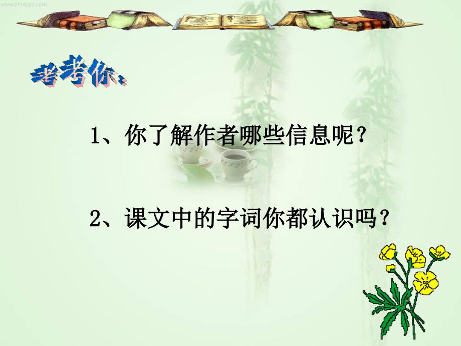 荷叶母亲课件要用_第4页