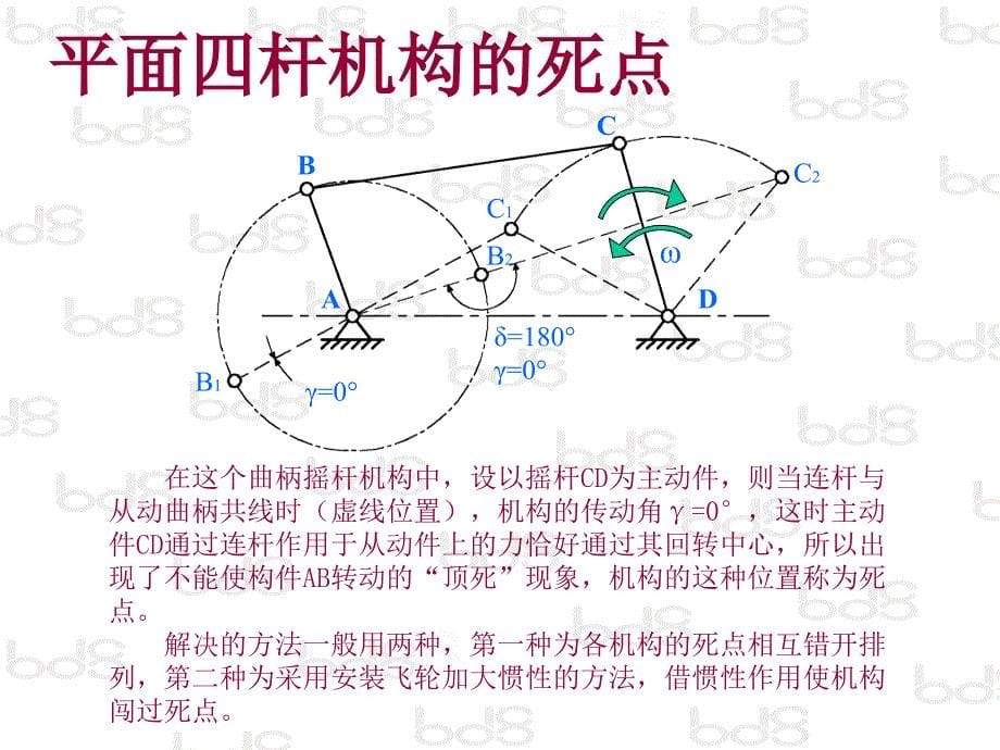 课件_项目_六足蟋蟀_第5页