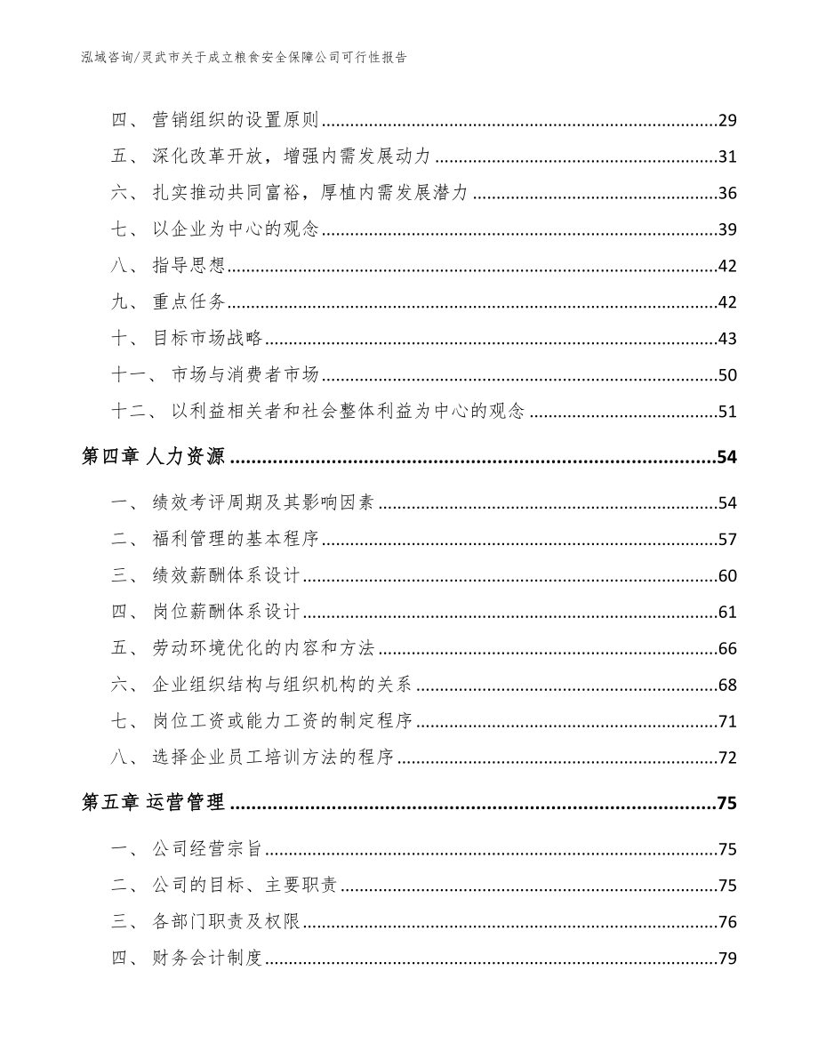 灵武市关于成立粮食安全保障公司可行性报告_模板范本_第2页