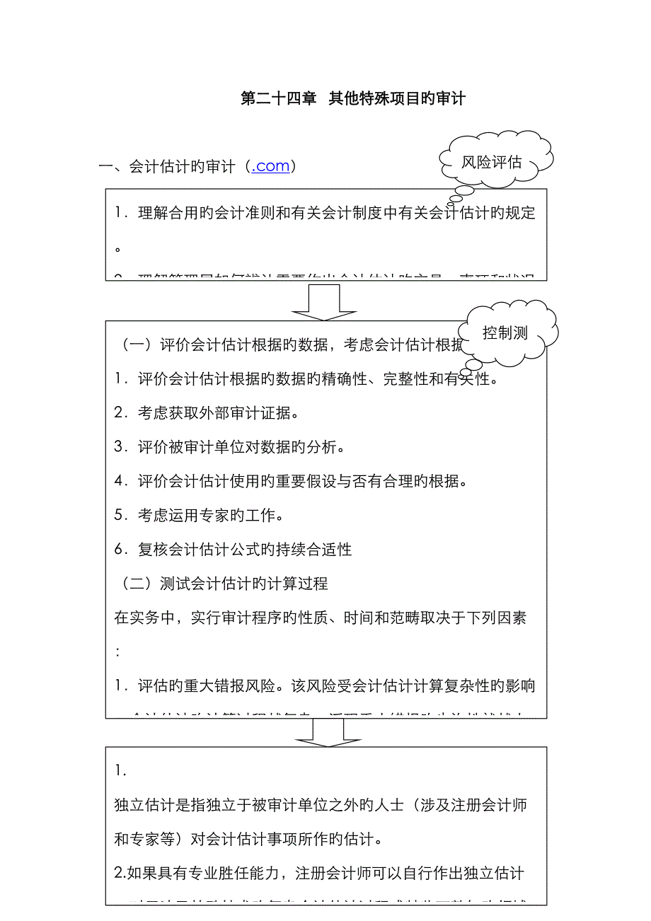 其他特殊项目的审计中华会计网校会计_第1页