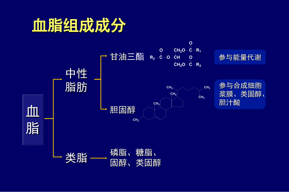 社区血脂异常防治王增武_第2页